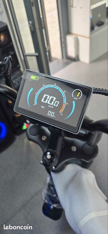 Vélo électrique Ouxi C80 250W - 12